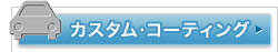 �J�X�^���E�R�[�e�B���O